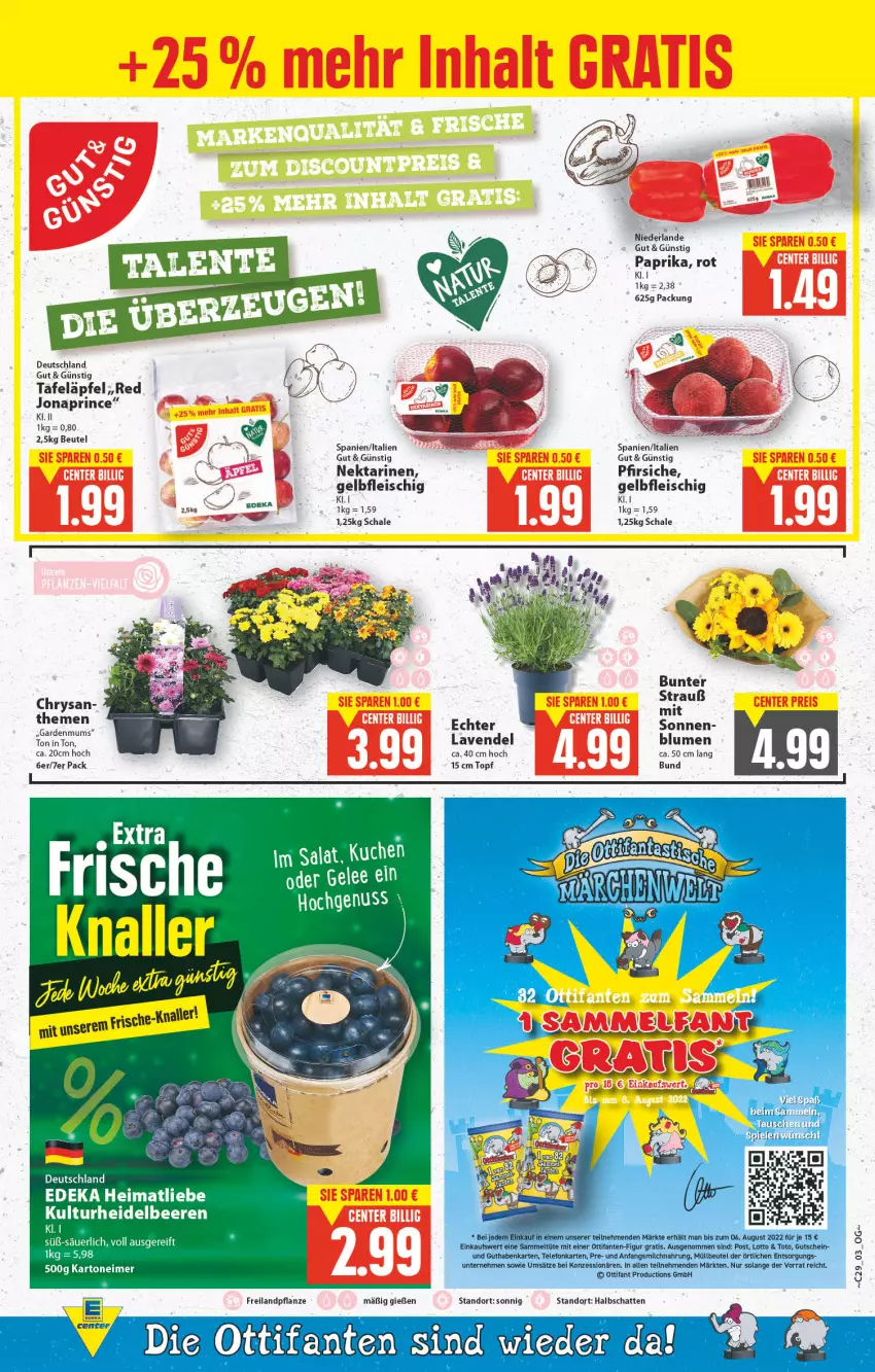 Aktueller Prospekt E Center - Angebote der Woche - von 18.07 bis 23.07.2022 - strona 3 - produkty: beere, beeren, beutel, blume, blumen, deka, eimer, eis, fleisch, heidelbeere, heidelbeeren, kuchen, lavendel, Nektar, nektarinen, paprika, pfirsich, pfirsiche, pflanze, Schal, Schale, tafeläpfel, Ti, topf