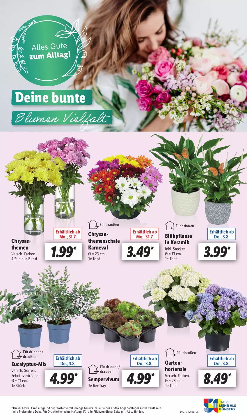 Aktueller Prospekt Lidl - Aktionsprospekt - von 31.07 bis 05.08.2023 - strona 51 - produkty: angebot, eis, Garten, hortensie, HP, pflanze, pflanzen, reis, Schal, Schale, Sempervivum, Ti, topf, ZTE