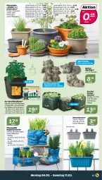 Gazetka promocyjna Netto - Woche 10 - Gazetka - ważna od 11.03 do 11.03.2023 - strona 13 - produkty: blume, blumen, Dekofigur, Garten, hose, koffer, pflanze, pflanzen, Ria, Schal, Schale, Tasche, taschen, Ti, topf, tragegriff, Untersetzer