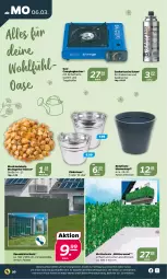 Gazetka promocyjna Netto - Woche 10 - Gazetka - ważna od 11.03 do 11.03.2023 - strona 20 - produkty: auer, blume, blumen, eimer, Kocher, koffer, ring, Ti, topf, ZTE, zwiebel, zwiebeln