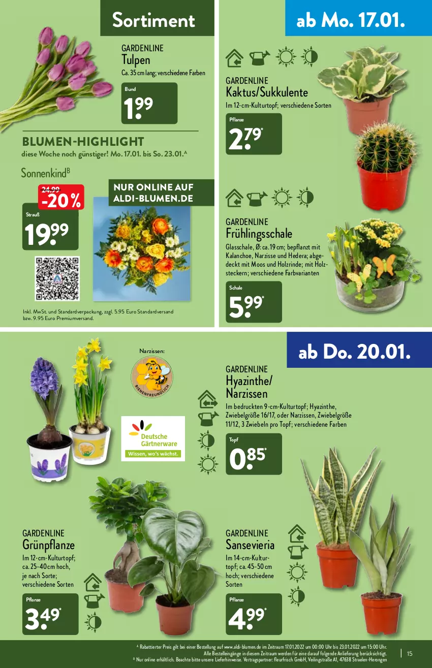 Aktueller Prospekt Aldi Nord - Aldi-Vorschau - von 17.01 bis 22.01.2022 - strona 15 - produkty: aldi, blume, blumen, Blüte, Brei, eis, elle, ente, erde, hero, Holz, Kalanchoe, kulturtopf, LG, Narzissen, pflanze, reis, Ria, rind, Schal, Schale, Sukkulente, Ti, topf, uhr, zwiebel, zwiebeln