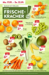 Gazetka promocyjna Aldi Nord - Aldi-Vorschau - Gazetka - ważna od 22.01 do 22.01.2022 - strona 2 - produkty: aldi, angebot, beutel, clementinen, eis, kiwi, kracher, LG, mandarine, mandarinen, mango, möhren, orange, orangen, Schal, Schale, speisemöhren, tafeltrauben, Ti, trauben, zespri, zitrone, zitronen, ZTE