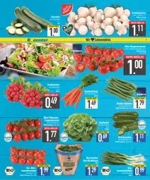 Gazetka promocyjna E Center - Angebote der Woche - Gazetka - ważna od 22.07 do 22.07.2023 - strona 7 - produkty: basilikum, bio, bio-basilikum, bohne, bohnen, Bundmöhren, champignon, champignons, eis, ente, gurke, gurken, kopfsalat, Lauchzwiebel, lauchzwiebeln, LG, mini-rispentomaten, möhren, pflaume, pflaumen, radieschen, reis, rispentomaten, salat, snack, super-knüller, tomate, tomaten, topf, zucchini, zwiebel, zwiebeln