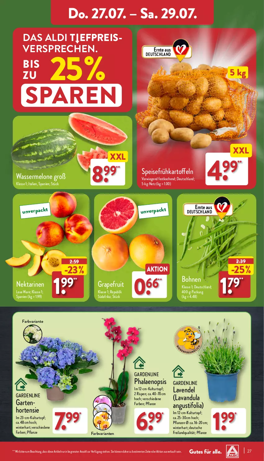 Aktueller Prospekt Aldi Nord - Von Montag - von 24.07 bis 29.07.2023 - strona 27 - produkty: aldi, Blüte, bohne, bohnen, Brei, eis, Frühkartoffeln, Garten, grapefruit, hortensie, kartoffel, kartoffeln, kulturtopf, lavendel, melone, Nektar, nektarinen, pflanze, pflanzen, phalaenopsis, reis, Ria, speisefrühkartoffeln, Ti, topf, wasser, wassermelone, ZTE