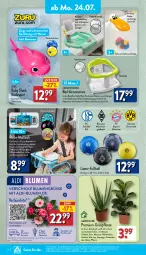 Gazetka promocyjna Aldi Nord - Von Montag - Gazetka - ważna od 29.07 do 29.07.2023 - strona 14 - produkty: ACC, accessoires, aldi, aloe vera, auto, Bad, Badewanne, ball, batterie, batterien, Becher, blume, blumen, Blüte, Brei, buntstifte, dell, deo, dusche, eis, elle, Ficus, Fußball, Kinder, kissen, kulturtopf, Mode, monster, Monstera, papier, pelikan, pflanze, Radiergummi, reis, rel, Ria, Schal, spiegel, spielzeug, stifte, Thea, Ti, tisch, topf, Wanne, waschbecken, wasser