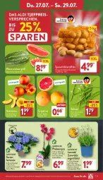 Gazetka promocyjna Aldi Nord - Von Montag - Gazetka - ważna od 29.07 do 29.07.2023 - strona 27 - produkty: aldi, Blüte, bohne, bohnen, Brei, eis, Frühkartoffeln, Garten, grapefruit, hortensie, kartoffel, kartoffeln, kulturtopf, lavendel, melone, Nektar, nektarinen, pflanze, pflanzen, phalaenopsis, reis, Ria, speisefrühkartoffeln, Ti, topf, wasser, wassermelone, ZTE