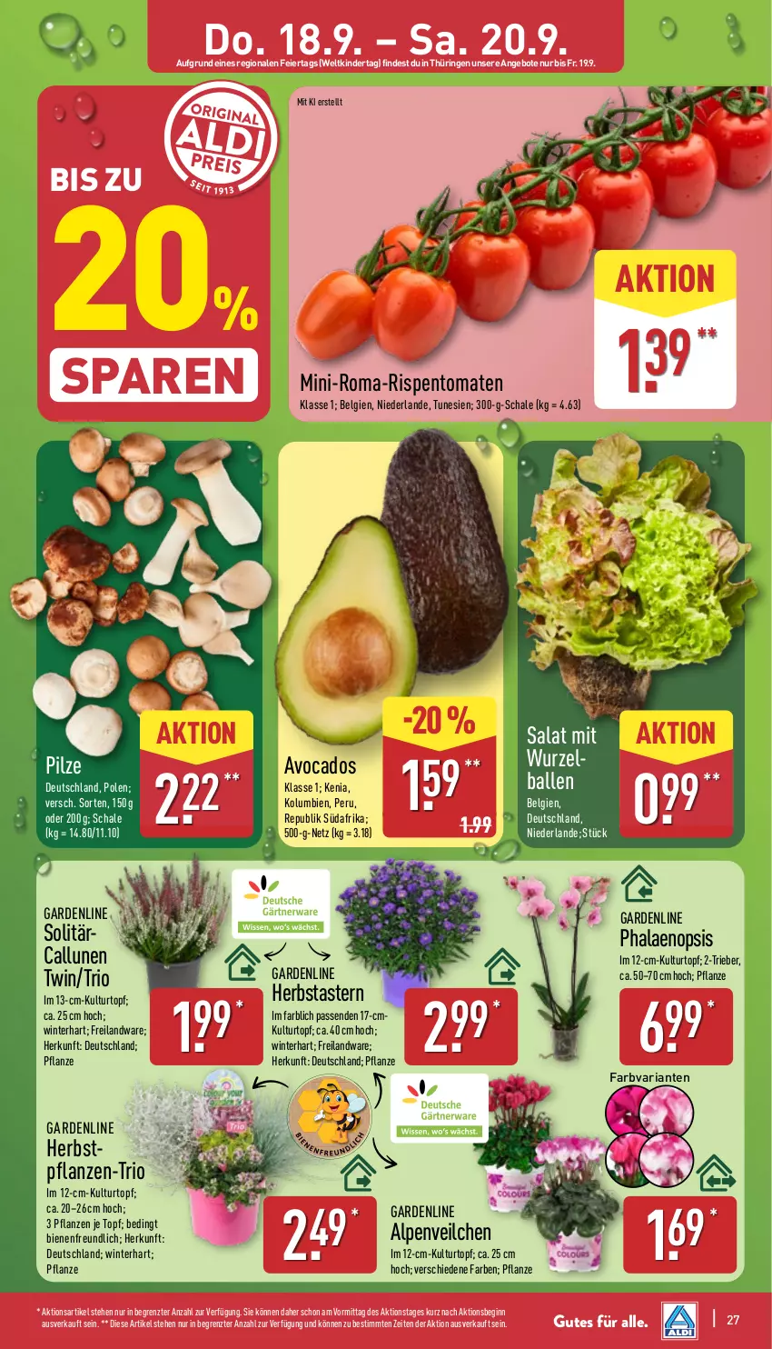 Aktueller Prospekt Aldi Nord - Von Montag - von 15.09 bis 20.09.2025 - strona 27 - produkty: angebot, angebote, avocado, avocados, ball, Blüte, Brei, eier, gin, Kinder, kulturtopf, LG, pflanze, pflanzen, phalaenopsis, pilze, Ria, ring, rispentomaten, salat, Schal, Schale, Ti, tomate, tomaten, topf, ZTE