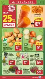 Gazetka promocyjna Aldi Nord - Von Montag - Gazetka - ważna od 20.09 do 20.09.2025 - strona 3 - produkty: angebot, angebote, beutel, blume, blumen, Blüte, Brei, eier, eis, ente, gin, kartoffel, kartoffeln, Kinder, kulturtopf, möhren, ndk, papier, Pfingstrosen, pflanze, ring, rosen, Schal, Schale, speisekartoffeln, speisemöhren, Tasche, Ti, topf, tragetasche, trolli, übertopf, ZTE, zwiebel, zwiebeln