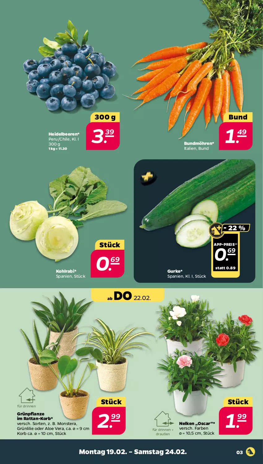 Aktueller Prospekt Netto - Woche 8 - von 19.02 bis 24.02.2024 - strona 3 - produkty: aloe vera, beere, beeren, Bundmöhren, eis, gurke, heidelbeere, heidelbeeren, kohlrabi, korb, möhren, monster, Monstera, pflanze, reis