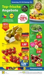 Gazetka promocyjna Lidl - Aktionsprospekt - Gazetka - ważna od 25.05 do 25.05.2024 - strona 44 - produkty: angebot, angebote, apfel, Birnen, coupon, eis, LG, ndk, Nektar, nektarinen, Pink Lady, Rauch, reis, Schal, Schale, spinat, strauchtomaten, Ti, tomate, tomaten