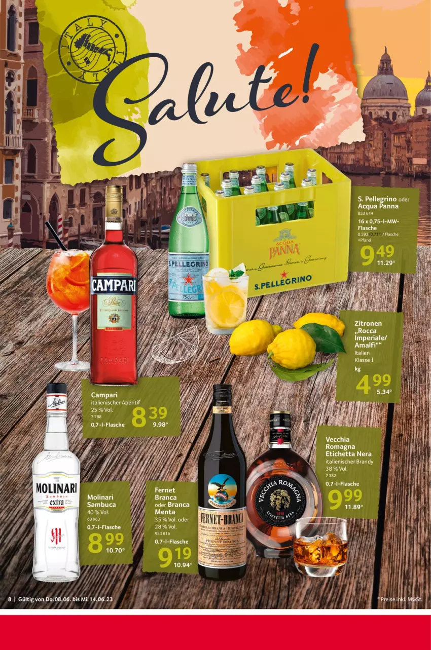 Aktueller Prospekt Selgros - Food - von 08.06 bis 14.06.2023 - strona 8 - produkty: aperitif, campari, chia, elle, flasche, Molinari, Ria, sambuca, Ti, Vecchia Romagna, zitrone, zitronen