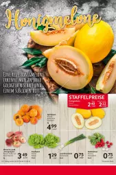 Gazetka promocyjna Selgros - Food - Gazetka - ważna od 14.06 do 14.06.2023 - strona 10 - produkty: aprikose, aprikosen, eis, kopfsalat, LG, paraguayos, pfirsich, pfirsiche, radieschen, reis, salat, Schal, Schale, Ti, Yo, zwiebel, zwiebeln