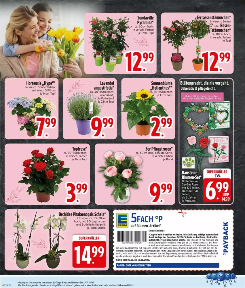 Aktueller Prospekt Edeka - Prospekte - von 05.05 bis 10.05.2025 - strona 8 - produkty: angebot, ariel, aust, auto, Bau, blume, blumen, Blüte, coupon, coupons, erde, Grünpflanzen, hortensie, kulturtopf, lavendel, LG, Maske, orchidee, papier, payback, Pfingstrosen, pflanze, pflanzen, phalaenopsis, Rauch, rosen, rwe, Schal, Schale, Ti, tisch, topf