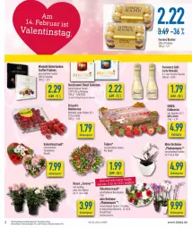 Gazetka promocyjna Diska - Prospekte - Gazetka - ważna od 12.02 do 12.02.2022 - strona 3 - produkty: aktionspreis, beere, beeren, Blüte, burger, deka, driscoll's, eis, erdbeere, erdbeeren, ferrero, Ferrero Rocher, fisch, flasche, freixenet, himbeer, himbeere, himbeeren, merci, orchidee, phalaenopsis, reis, Ria, rosen, Schal, Schale, sekt, storck, Ti, topf, Trüffel