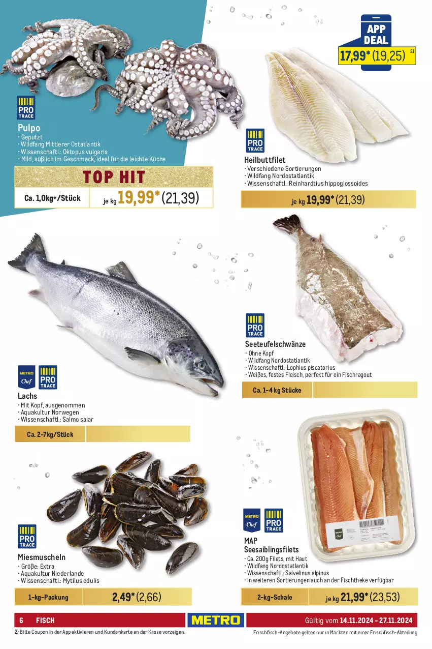 Aktueller Prospekt Metro - GastroJournal - von 14.11 bis 27.11.2024 - strona 6 - produkty: Abtei, angebot, angebote, aqua, coupon, eis, filet, filets, fisch, fischtheke, fleisch, frischfisch, Heilbuttfilet, hipp, küche, lachs, LG, mac, Muscheln, Ragout, rwe, Saibling, Schal, Schale, Seesaiblingsfilet, Ti, Wild