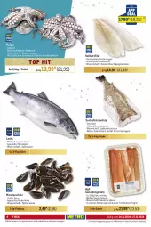 Gazetka promocyjna Metro - GastroJournal - Gazetka - ważna od 27.11 do 27.11.2024 - strona 6 - produkty: Abtei, angebot, angebote, aqua, coupon, eis, filet, filets, fisch, fischtheke, fleisch, frischfisch, Heilbuttfilet, hipp, küche, lachs, LG, mac, Muscheln, Ragout, rwe, Saibling, Schal, Schale, Seesaiblingsfilet, Ti, Wild