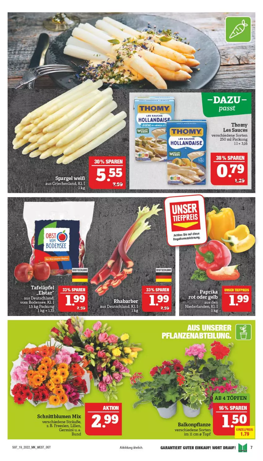 Aktueller Prospekt Marktkauf - Prospekt - von 08.05 bis 14.05.2022 - strona 11 - produkty: eier, paprika, paprika rot, regal, rhabarber, sauce, spargel, Ti, topf