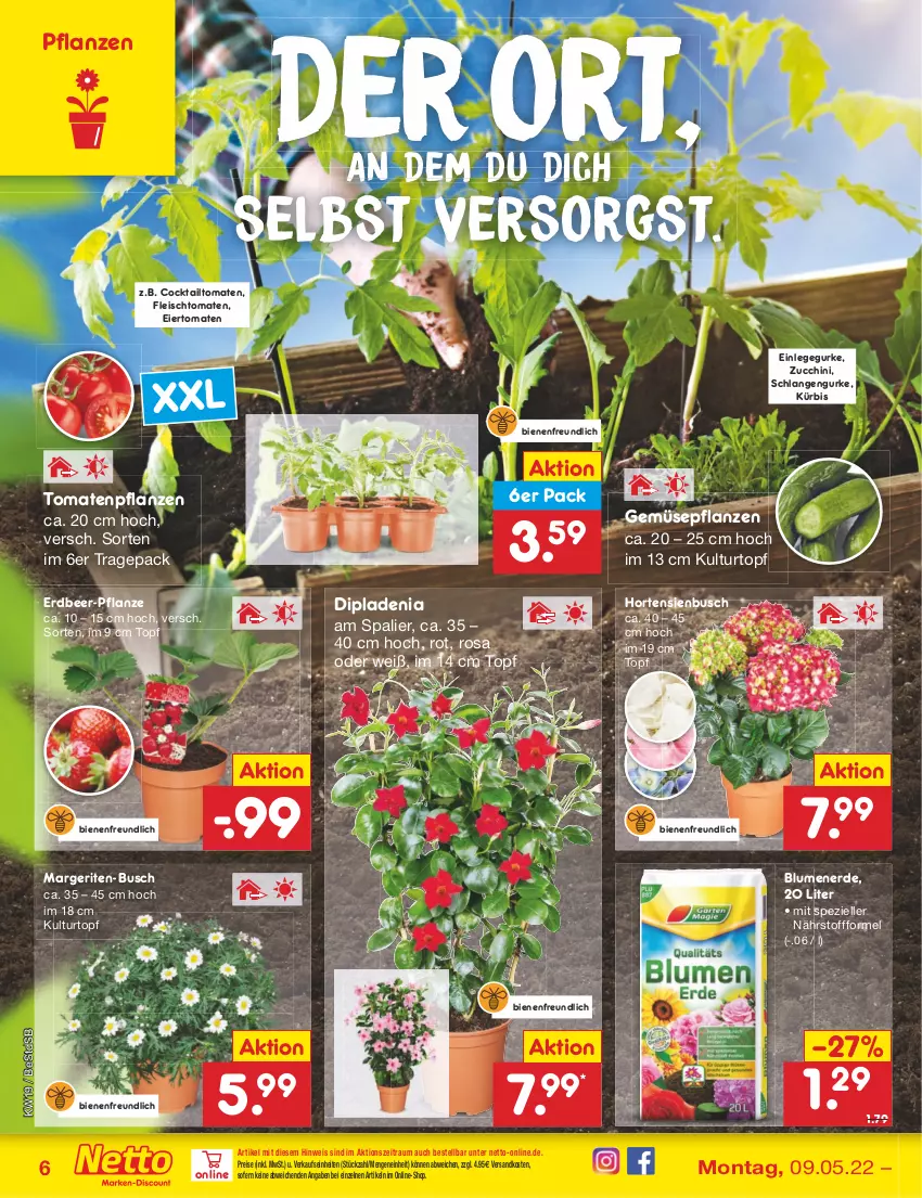 Aktueller Prospekt Netto Marken-Discount - Filial-Angebote - von 09.05 bis 14.05.2022 - strona 6 - produkty: blume, blumen, blumenerde, cocktail, dip, dipladenia, eier, eis, elle, erde, fleisch, gurke, hortensie, hortensien, kulturtopf, Kürbis, ndk, pflanze, pflanzen, reis, Spezi, Ti, tomate, tomaten, topf, zucchini