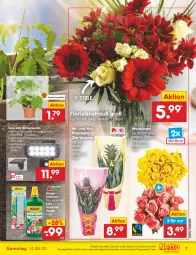 Gazetka promocyjna Netto Marken-Discount - Filial-Angebote - Gazetka - ważna od 14.05 do 14.05.2022 - strona 7 - produkty: ananas, angebot, Apple, auer, dünger, eis, Garten, Leuchte, reis, rosen, Ti, topf, wasser, ZTE