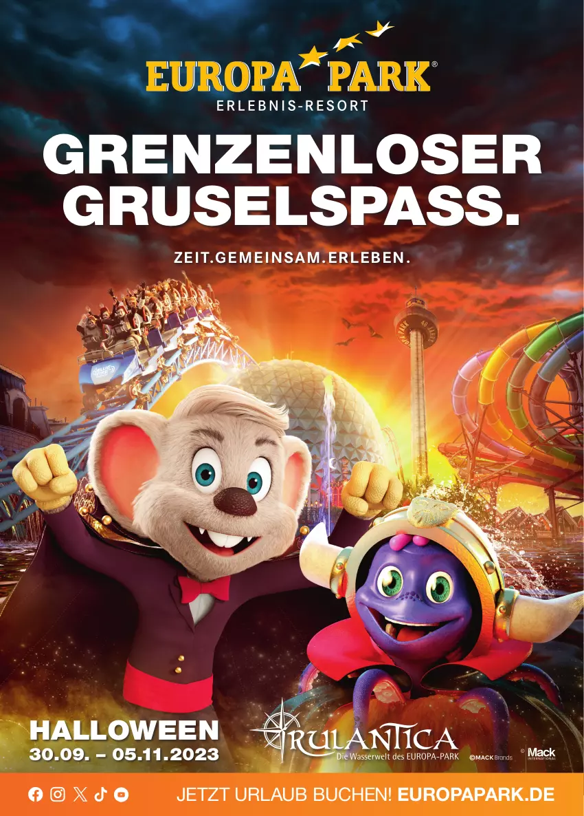 Aktueller Prospekt E Center - Angebote der Woche - von 25.09 bis 30.09.2023 - strona 49 - produkty: buch