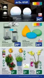 Gazetka promocyjna Aldi Nord - Aldi-Vorschau - Gazetka - ważna od 09.07 do 09.07.2022 - strona 21 - produkty: akku, auer, blume, Blüte, Brei, dell, edelstahl, elle, gin, kerze, Kugel, kulturtopf, laterne, leine, Leuchte, leuchten, lightzone, Mode, pflanze, phalaenopsis, Ria, rwe, Ti, topf, ZTE