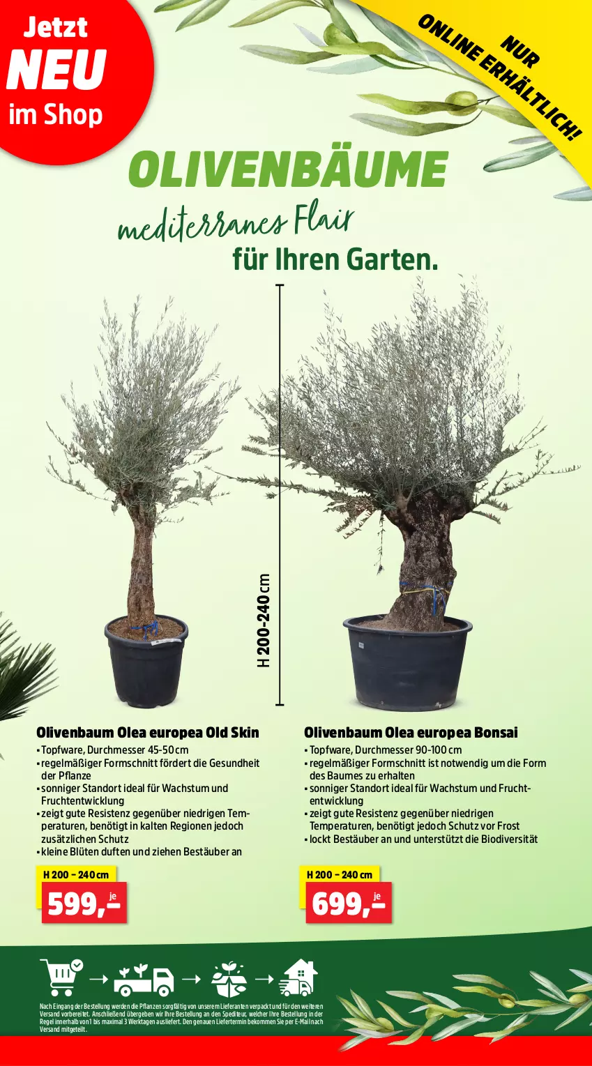 Aktueller Prospekt Thomas Philipps - von 21.05 bis 25.05.2024 - strona 7 - produkty: Bau, bio, Blüte, frucht, Garten, Gesundheit, leine, messer, olive, oliven, pflanze, Ti, topf, WICK