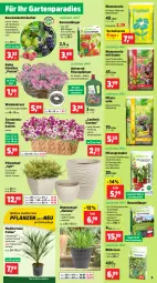 Gazetka promocyjna Thomas Philipps - Gazetka - ważna od 25.05 do 25.05.2024 - strona 3 - produkty: beere, beeren, blume, blumen, blumenerde, brombeere, brombeeren, dekoration, dünger, eis, ente, erde, flüssigdünger, Garten, Gartenpflanze, hama, himbeer, himbeere, himbeeren, johannisbeere, Johannisbeeren, Kranz, natur, obst, pflanze, pflanzen, pflanzerde, Pflanzkasten, Pflanztopf, rasen, rasendünger, Rauch, reis, ring, sac, Stachelbeeren, Ti, topf, vorteilspreis, wasser, WICK