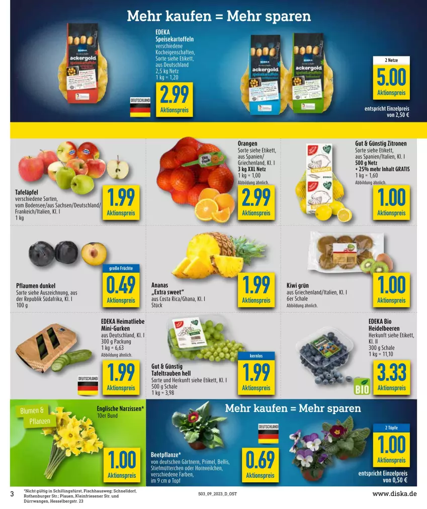 Aktueller Prospekt Diska - Prospekte - von 27.02 bis 04.03.2023 - strona 3 - produkty: aktionspreis, ananas, beere, beeren, bio, burger, deka, edeka bio, eis, fisch, früchte, gurke, gurken, heidelbeere, heidelbeeren, kiwi, mini-gurken, orange, orangen, pflanze, pflaume, pflaumen, reis, sac, Schal, Schale, tafeläpfel, tafeltrauben, Ti, trauben, zitrone, zitronen