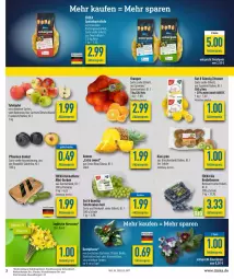 Gazetka promocyjna Diska - Prospekte - Gazetka - ważna od 04.03 do 04.03.2023 - strona 3 - produkty: aktionspreis, ananas, beere, beeren, bio, burger, deka, edeka bio, eis, fisch, früchte, gurke, gurken, heidelbeere, heidelbeeren, kiwi, mini-gurken, orange, orangen, pflanze, pflaume, pflaumen, reis, sac, Schal, Schale, tafeläpfel, tafeltrauben, Ti, trauben, zitrone, zitronen