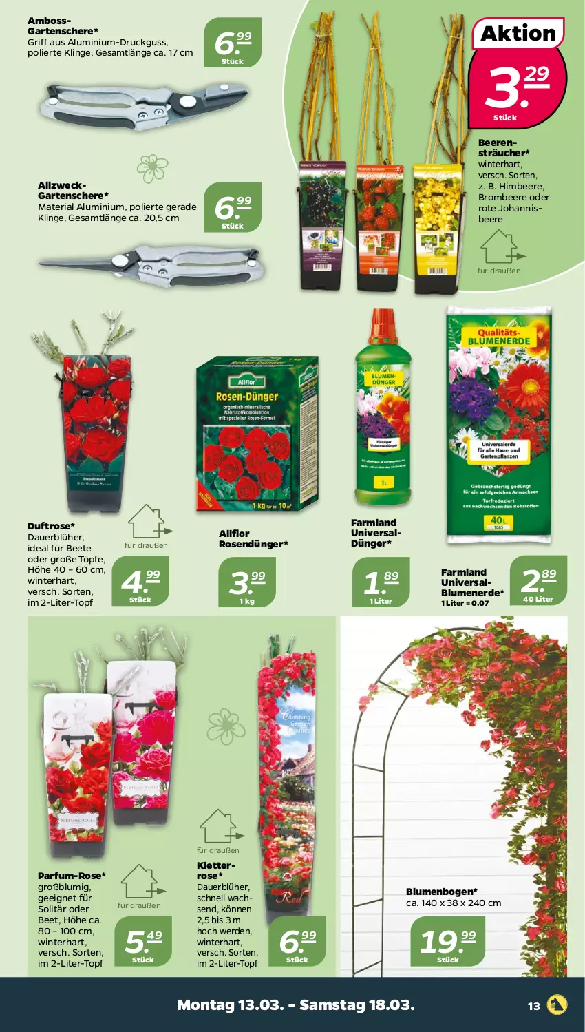 Aktueller Prospekt Netto - Woche 11 - von 13.03 bis 18.03.2023 - strona 13 - produkty: auer, beere, beeren, blume, blumen, blumenerde, boss, brombeere, dünger, erde, Garten, Gartenschere, himbeer, himbeere, johannisbeere, parfum, Ria, rosen, Schere, Ti, topf, weck