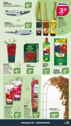 Gazetka promocyjna Netto - Woche 11 - Gazetka - ważna od 18.03 do 18.03.2023 - strona 13 - produkty: auer, beere, beeren, blume, blumen, blumenerde, boss, brombeere, dünger, erde, Garten, Gartenschere, himbeer, himbeere, johannisbeere, parfum, Ria, rosen, Schere, Ti, topf, weck