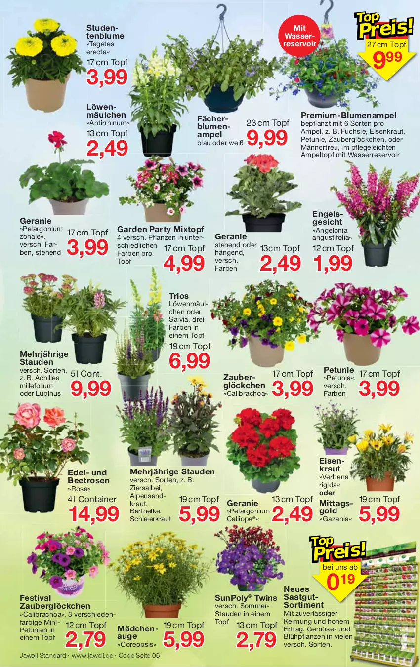 Aktueller Prospekt Jawoll - Prospekte - von 12.06 bis 18.06.2022 - strona 6 - produkty: blume, blumen, Blumenampel, calibrachoa, Container, eier, eis, Engel, ente, geranie, HP, Kraut, oreo, Pelargonium, petunie, petunien, pflanze, pflanzen, rosen, stauden, Ti, topf, wasser, zauberglöckchen