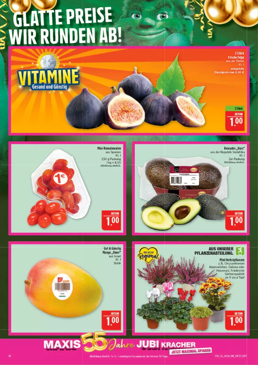 Aktueller Prospekt Marktkauf - Prospekt - von 23.08 bis 29.08.2026 - strona 10 - produkty: Abtei, Alpenveilchen, avocado, avocados, chrysanthemen, eis, Hauswurz, latte, mango, pflanze, pflanzen, reis, Romatomaten, Ti, tomate, tomaten, topf
