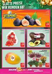 Gazetka promocyjna Marktkauf - Prospekt - Gazetka - ważna od 29.08 do 29.08.2026 - strona 10 - produkty: Abtei, Alpenveilchen, avocado, avocados, chrysanthemen, eis, Hauswurz, latte, mango, pflanze, pflanzen, reis, Romatomaten, Ti, tomate, tomaten, topf