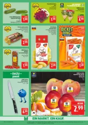 Gazetka promocyjna Marktkauf - Prospekt - Gazetka - ważna od 29.08 do 29.08.2026 - strona 9 - produkty: chrysanthemen, deka, eier, eis, fleisch, Geflügel, gurke, gurken, kartoffel, kartoffeln, messer, mini-gurken, Nektar, nektarinen, nektarinen oder, oder pfirsiche, pfirsich, pfirsiche, reis, ring, rispentomaten, rosen, speisekartoffeln, Ti, tomate, tomaten, topf, ZTE
