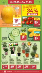 Gazetka promocyjna Aldi Nord - Von Montag - Gazetka - ważna od 31.05 do 31.05.2025 - strona 28 - produkty: aldi, banane, Becher, beere, dip, dipladenia, eis, erdbeere, galiamelone, gin, gurke, gurken, kaffee, kulturtopf, lavendel, mais, melone, obst, pflanze, reis, rispentomaten, Schal, Schale, snack, Ti, tomate, tomaten, topf, ZTE, zucker, zuckermais