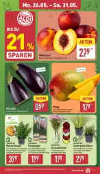 Gazetka promocyjna Aldi Nord - Von Montag - Gazetka - ważna od 31.05 do 31.05.2025 - strona 5 - produkty: aubergine, beere, beeren, chrysanthemen, gin, kulturtopf, mango, Nektar, nektarinen, pflanze, Rauch, Ria, Schal, Schale, Ti, topf, Vase, ZTE