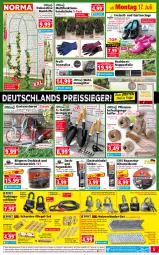 Gazetka promocyjna Norma - Norma - Gazetka - ważna od 24.06 do 24.06.2024 - strona 5 - produkty: Bebe, blume, blumen, braun, Clogs, eis, elle, flieder, Garten, Gartenschere, gin, Holz, HP, Hylo, kleber, kokos, kraft, lack, latte, LG, Maus, natur, ndk, papier, pflanze, pflanzen, rasen, reis, reiss, Ria, riegel, rosen, Schere, schrauben, schuhe, Spezi, Ti, tisch, weck, ZTE