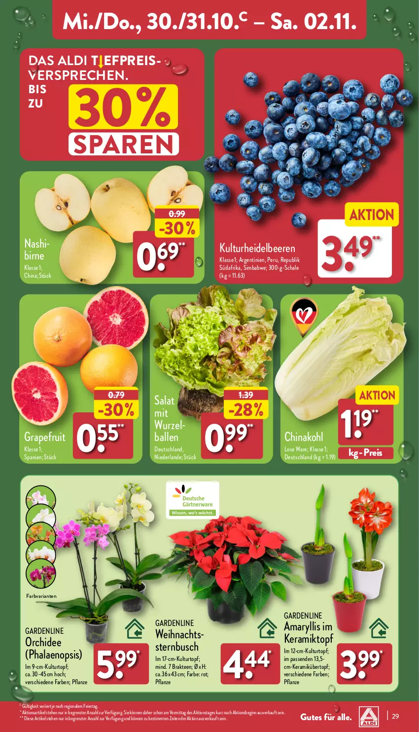 Aktueller Prospekt Aldi Nord - Von Montag - von 28.10 bis 02.11.2024 - strona 29 - produkty: aldi, ball, beere, beeren, eier, eis, gin, grapefruit, heidelbeere, heidelbeeren, kulturtopf, Nashi, orchidee, pflanze, phalaenopsis, reis, Ria, salat, Schal, Schale, sim, simba, tee, Ti, topf, übertopf, Weihnachtsstern, ZTE