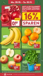 Gazetka promocyjna Aldi Nord - Von Montag - Gazetka - ważna od 02.11 do 02.11.2024 - strona 2 - produkty: aldi, angebot, apfel, banane, bananen, bio, eis, grana, granatapfel, kräuter, mandarine, mandarinen, Rana, reis, Schal, Schale, tafeläpfel, Ti, topf, trolli, ZTE