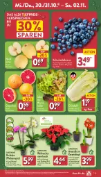 Gazetka promocyjna Aldi Nord - Von Montag - Gazetka - ważna od 02.11 do 02.11.2024 - strona 29 - produkty: aldi, ball, beere, beeren, eier, eis, gin, grapefruit, heidelbeere, heidelbeeren, kulturtopf, Nashi, orchidee, pflanze, phalaenopsis, reis, Ria, salat, Schal, Schale, sim, simba, tee, Ti, topf, übertopf, Weihnachtsstern, ZTE