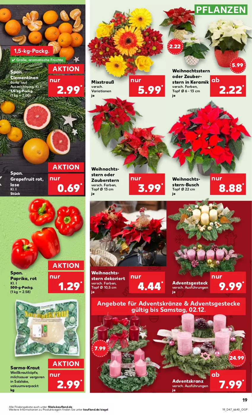 Aktueller Prospekt Kaufland - Prospekt - von 23.11 bis 29.11.2023 - strona 19 - produkty: Adventskranz, angebot, angebote, auer, clementinen, früchte, grapefruit, Kranz, Kraut, milch, paprika, pflanze, pflanzen, Ria, salz, Sarma, Ti, tisch, topf, Weihnachtsstern