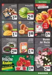 Gazetka promocyjna E Center - Angebote der Woche - Gazetka - ważna od 17.06 do 17.06.2023 - strona 3 - produkty: aktionspreis, angebot, apfel, blume, blumen, braun, champignon, champignons, champignons braun, discount, Dr. Oetker, eis, Elan, grana, granatapfel, granatapfelkerne, jumbo, kiwi, kokos, kokosnuss, mango, mangos, melone, nuss, obst, Pfingstrosen, Rana, reis, rosen, tafeläpfel, Tasche, Ti, tragetasche, wasser, wassermelone