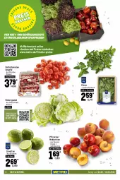Gazetka promocyjna Metro - Food - Gazetka - ważna od 10.08 do 10.08.2022 - strona 6 - produkty: angebot, angebote, datteltomaten, decke, eis, eisbergsalat, elle, feinkost, fleisch, fol epi, Frische Pasta, frischkäse, géramont, gorgonzola, grill, Grillkäse, je 250-g-packung, Käse, limette, limetten, mac, Metro, Mett, metten, milch, minze, mozzarella, Nektar, nektarinen, nuss, obst, pasta, pfirsich, pfirsiche, philadelphia, reis, rel, rouge, rougette, salat, Schal, Schale, schnittkäse, Ti, tisch, tomate, tomaten, top-hit, und gemüse, weichkäse