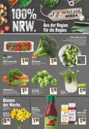 Gazetka promocyjna E Center - Angebote der Woche - Gazetka - ważna od 11.02 do 11.02.2023 - strona 8 - produkty: bier, Biere, bio, blume, blumen, blumenkohl, brokkoli, deka, elle, fenchel, flasche, frucht, fruchtsäfte, ingwer, möhren, petersilie, Ria, rosen, Rosenkohl, säfte, Schal, Schale, Ti, tisch, tomate, tomaten, uhr