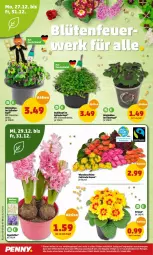 Gazetka promocyjna Penny - Prospekte - Gazetka - ważna od 01.01 do 01.01.2023 - strona 32 - produkty: erde, glücksklee, LG, rosen, topf, übertopf, ZTE