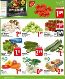 Gazetka promocyjna Edeka - Prospekte - Gazetka - ważna od 02.11 do 02.11.2024 - strona 6 - produkty: ball, bio, braun, champignon, champignons, deka, gurke, gurken, kohlrabi, paprika, pflaume, pflaumen, rispentomaten, rosen, Rosenkohl, Schal, Schale, tomate, tomaten, zucchini