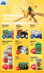 Gazetka promocyjna Getraenke Hoffmann - Prospekte - Gazetka - ważna od 17.08 do 17.08.2024 - strona 6 - produkty: berliner, berliner kindl, bier, budweiser, desperados, eis, getränk, gin, Guinness, heineken, Kilkenny, nuss, pils, spirituosen, Ti