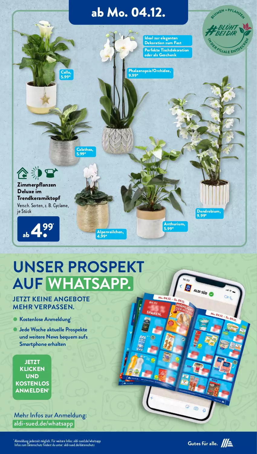 Aktueller Prospekt AldiSud - IN ZWEI WOCHEN - von 04.12 bis 09.12.2023 - strona 9 - produkty: aldi, Alpenveilchen, angebot, angebote, dekoration, elle, ndk, orchidee, pflanze, pflanzen, phalaenopsis, smartphone, Thea, Ti, tisch, topf