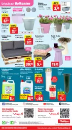 Gazetka promocyjna Thomas Philipps - Gazetka - ważna od 10.05 do 10.05.2025 - strona 17 - produkty: abholpreise, adblue, alle preise sind abholpreise, angebot, angebote, auer, blume, blumen, Blumenampel, Clin, decke, Deckel, Diesel, discount, eis, Engel, Garten, Handy, hocker, kissen, Palette, Palettenkissen, papier, Pflanztopf, reiniger, reis, Rückenkissen, rwe, Scheibenreiniger, sekt, Ti, tisch, topf, Vase, vorteilspreis, wasser, Yo